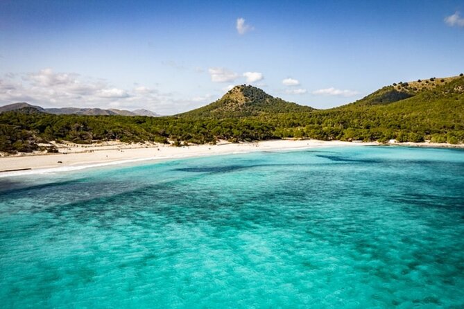 Full-Day Tour of Cala Mesquida, Cala Agulla, and Cala Molto - Customer Reviews