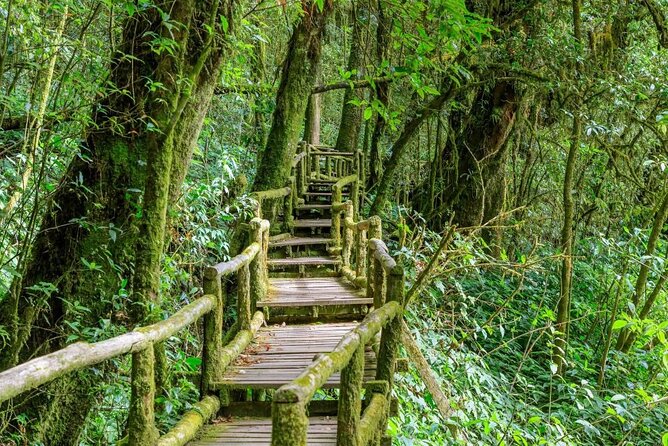 Full-Day Tour of Doi Inthanon National Park From Chiang Mai - Maximum of 8 Travelers