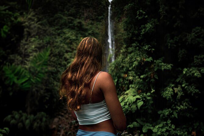 Full Day Tour of Guadeloupe - Good To Know