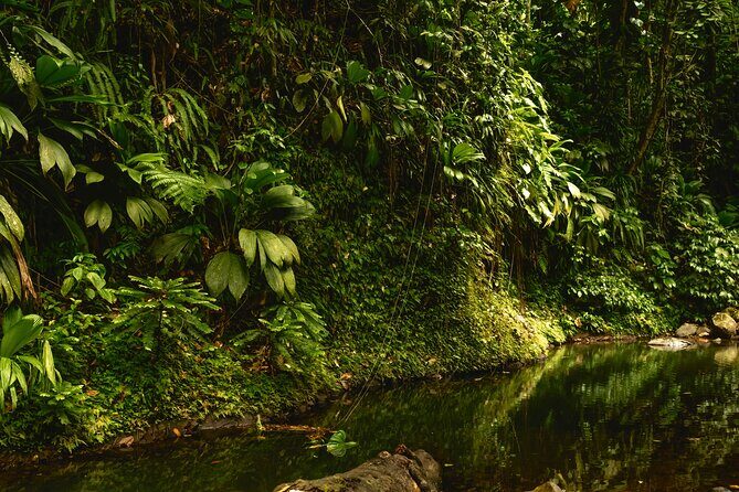 Full Day Tour of Guadeloupe - Final Words