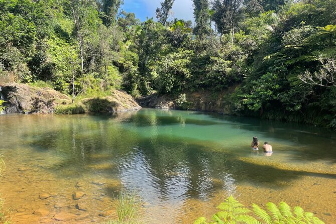Full-Day Tour of Guavate and Charco Azul in Puerto Rico - Directions