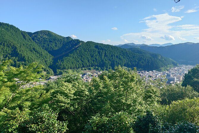 Full Day Tour Of Gujo Hachiman A Castle Town From Nagoya By Car - Practical Tips for Your Day