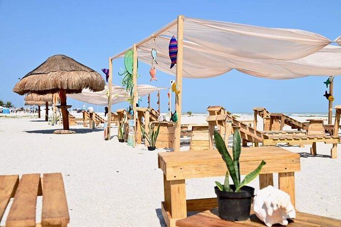 Full-Day Tour of Holbox Island and Yalahau Cenote With Lunch - Tour Details