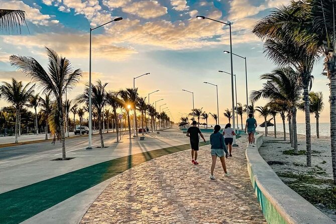 Full-Day Tour of Holbox Island and Yalahau Cenote With Lunch - Transportation Details