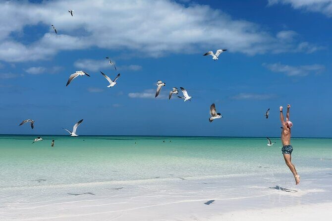 Full Day Tour of Isla Holbox and Isla Pasión with Cenote - The Experience of the Day