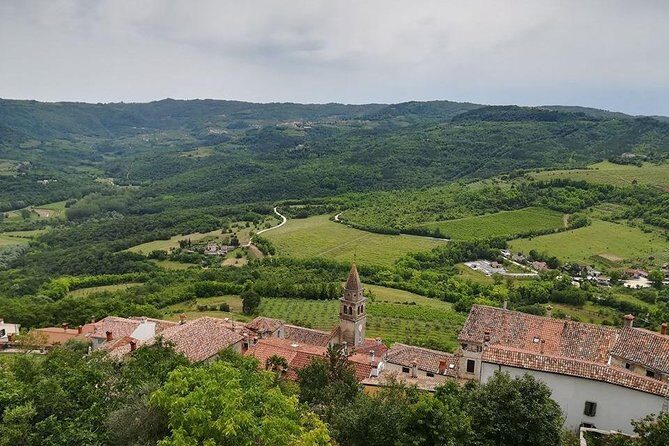 Full day tour of Istria - Good To Know