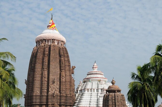 Full Day Tour of Konark Temple and Puri - Tour Itinerary Overview