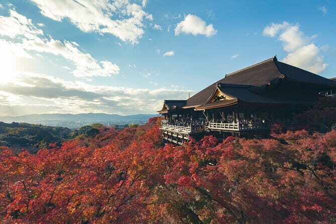 Full Day Tour of Kyoto with Private Transportation - What Makes This Tour Special