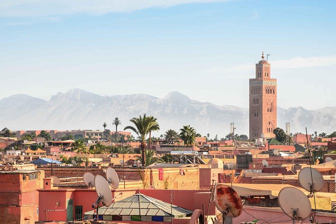 Full Day Tour of Medina - Tour Highlights