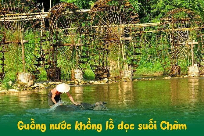 Full Day Tour Of Ninh Binh From City Center Tam Coc Or Trang An - FAQ
