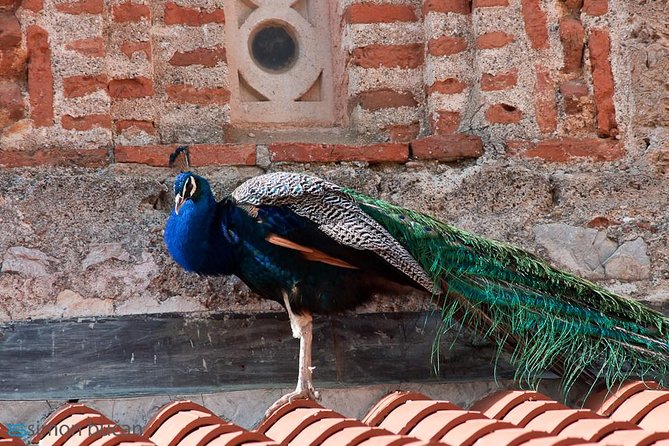 Full Day Tour of Ohrid With St Naum From Skopje - What to Expect