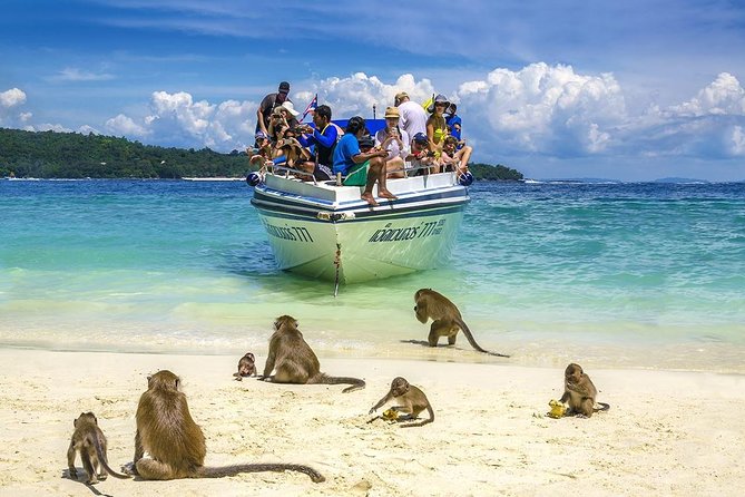 Full Day Tour of Phi Phi Island by Big Boat From Rasada Pier, Phuket - Tour Itinerary