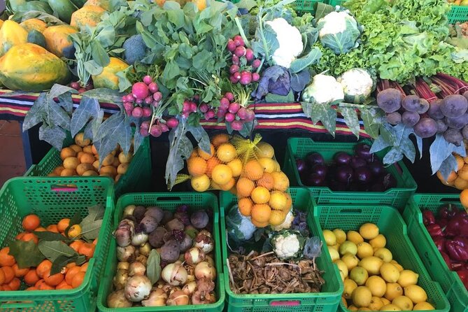 Full Day Tour of Santa Cruz and San Cristóbal De La Laguna - Viator and Tripadvisor Ratings