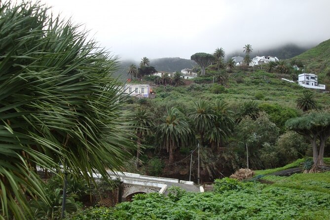 Full Day Tour of Santa Cruz and San Cristóbal De La Laguna - Tour Operators Response to Reviews