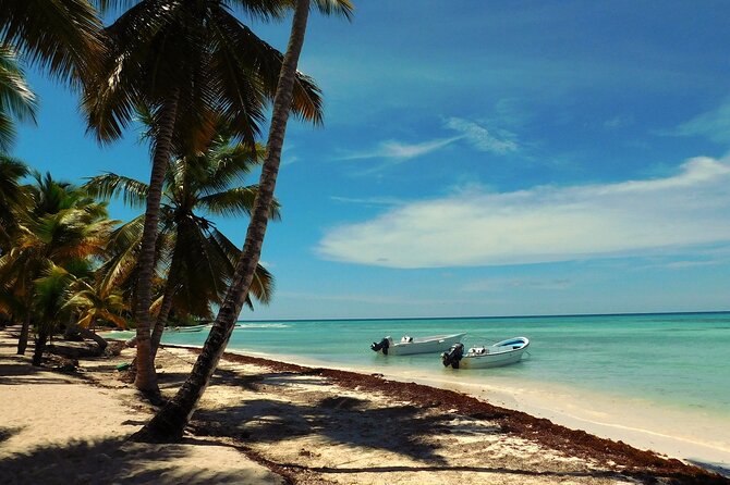 Full-Day Tour of Saona Island From Punta Cana - Tour Duration and Highlights