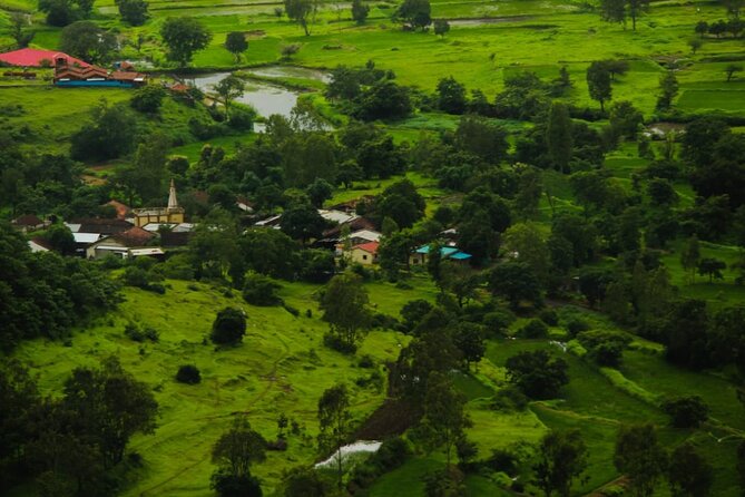 Full-Day Tour of Sinhagad Fort and Kadakwasla Lake From Pune - Customer Reviews