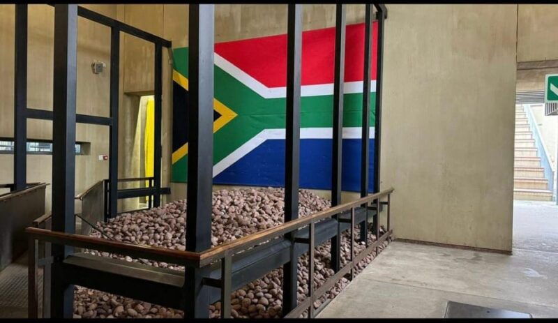 Full-Day Tour of Soweto, Johannesburg, and Apartheid Museum - Who Will Love This Tour?