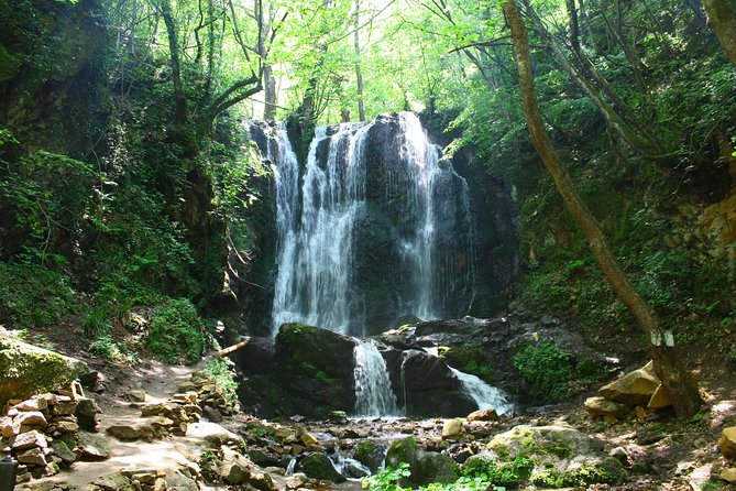 Full Day Tour of Strumica From Skopje - Inclusions