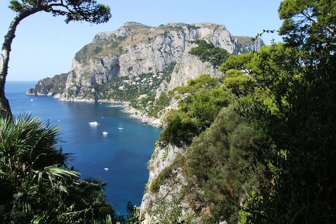 Full-Day Tour of the Amalfi Coast and Pompeii From Naples - Tour Highlights