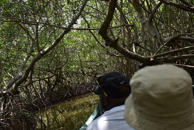 Full Day Tour of the Mangrove Swamp and Mud Volcano in Cartagena - Frequently Asked Questions