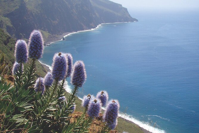 Full Day Tour of the West Zone of Madeira - The Sum Up