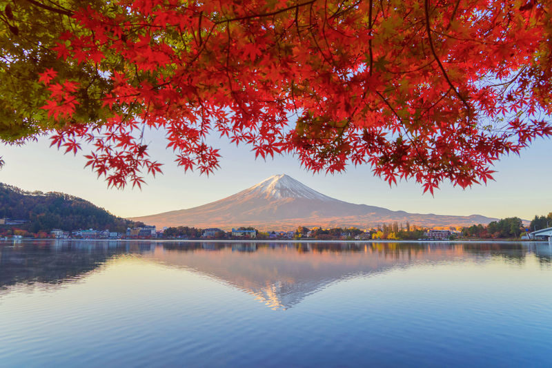 Full-Day Tour of Tokyo, Mount Fuji, and Lake Kawaguchi - A Fuji day with three different stops