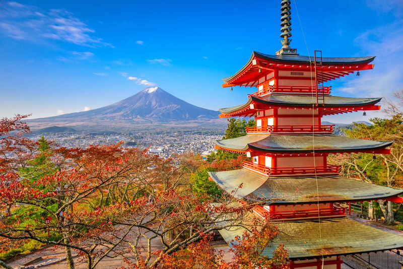 Full-Day Tour of Tokyo, Mount Fuji, and Lake Kawaguchi - Shinjuku’s early start and the ride west