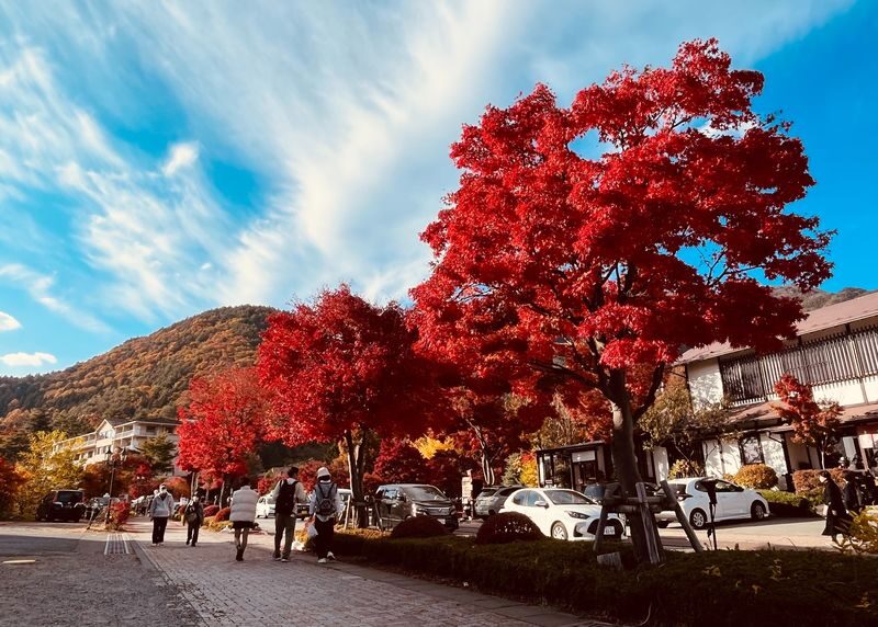 Full-Day Tour of Tokyo, Mount Fuji, and Lake Kawaguchi - Arakurayama’s pagoda and uphill walk