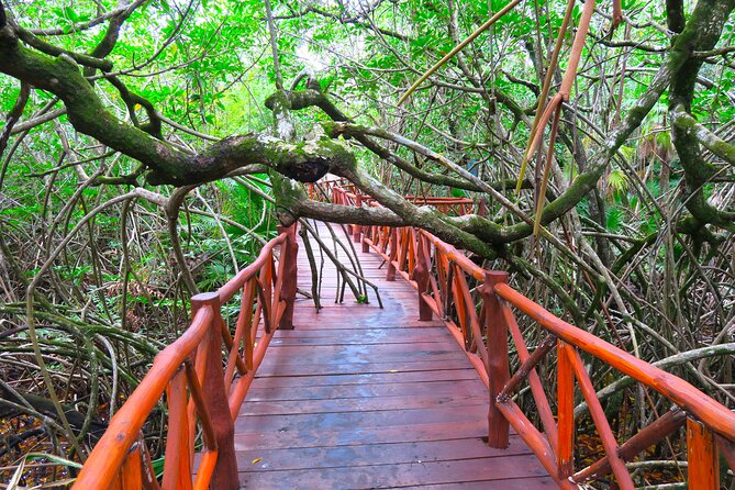 Full-Day Tour of Tulum Ruins and Cenotes With Lunch - Cancellation and Refund Policy