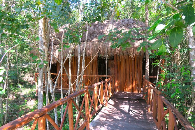 Full-Day Tour of Tulum Ruins and Cenotes With Lunch - Reviews and Photos From Viator Travelers