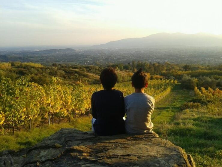 Full-Day Tour of Tuscany From Florence-Small Group up 8 Pax - Good To Know