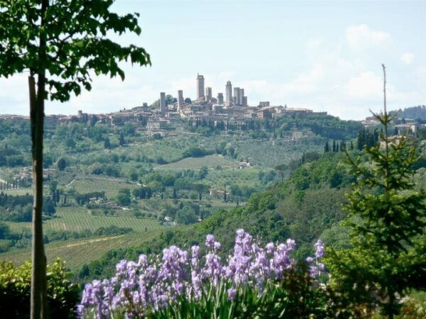 Full-Day Tour of Tuscany From Florence-Small Group up 8 Pax - Booking Information