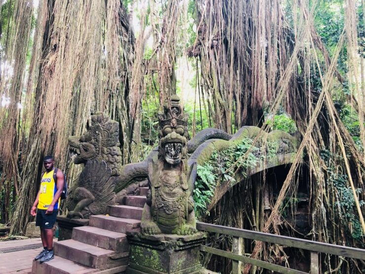 Full Day Tour of Ubud & Dine in the Shadow of a Live Volcano - Key Points