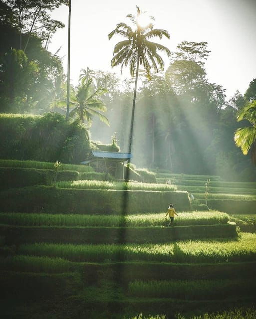Full Day Tour of Ubud & Dine in the Shadow of a Live Volcano - Balinese Cultural Performances