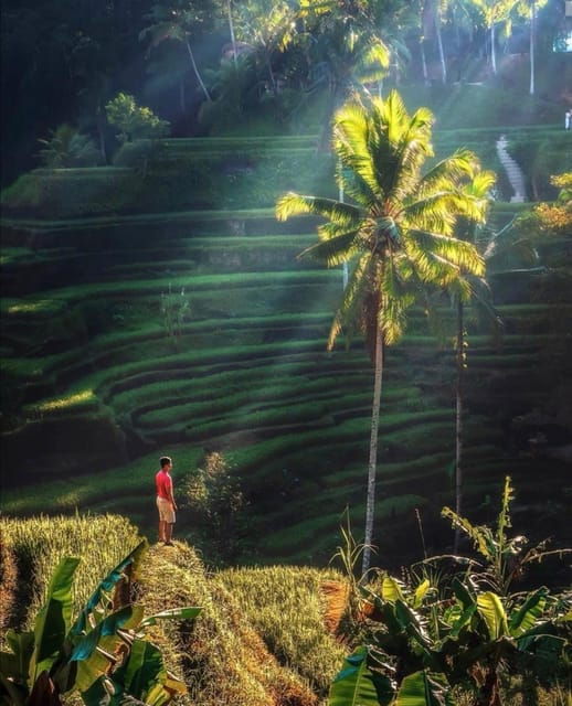 Full Day Tour of Ubud & Dine in the Shadow of a Live Volcano - Exploring Ubuds Craftsmanship