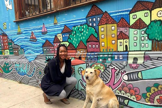 Full-Day Tour of Valparaiso Port and Viña Del Mar From Santiago - Tour Overview