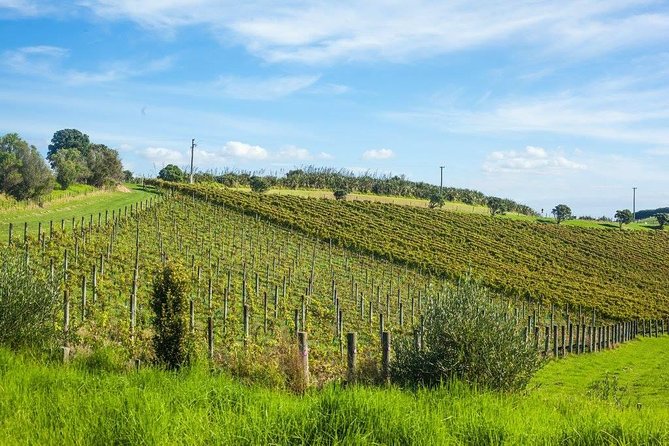 Full-Day Tour of Waiheke Island With Wine Tastings - Tour Highlights and Island Exploration