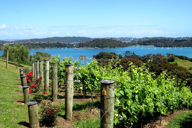 Full-Day Tour of Waiheke Island With Wine Tastings - Overall Recommendation