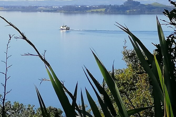 Full Day Tour of Waitomo Glowworm Caves and Rotoruas Te Puia - Price and Guarantee