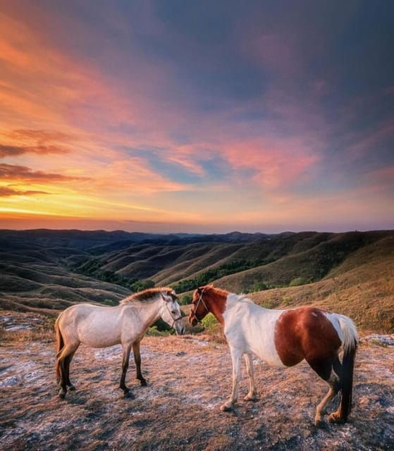 Full Day Tour of Waterfalls, Hills and Beaches in Sumba - Key Points