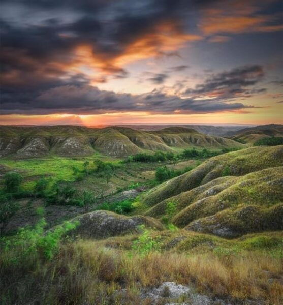 Full Day Tour of Waterfalls, Hills and Beaches in Sumba - Included in the Tour