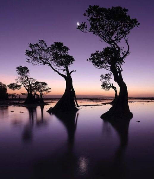 Full Day Tour of Waterfalls, Hills and Beaches in Sumba - Important Information
