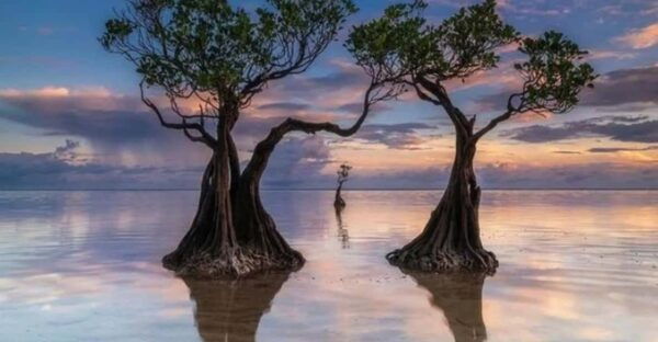 Full Day Tour of Waterfalls, Hills and Beaches in Sumba - Questions You May Have