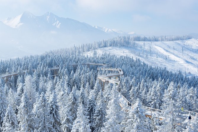Full-Day Tour of Zakopane and Slovakia Treetop From Krakow - Tour Highlights