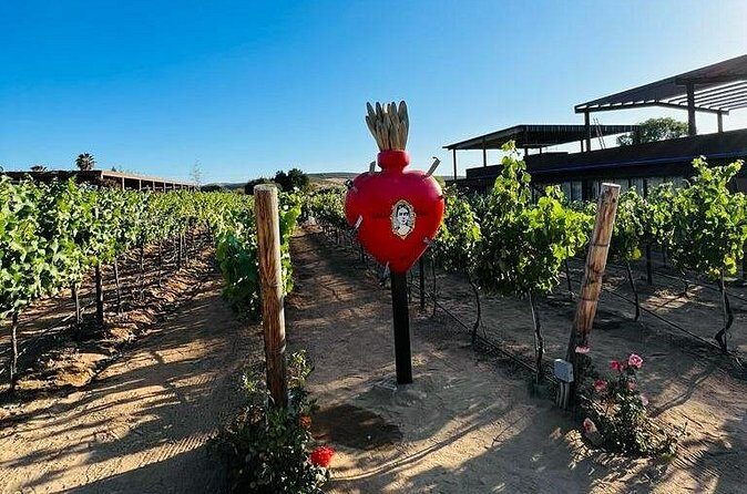 Full Day Tour on the Wine Route, Valle de Guadalupe - Frequently Asked Questions