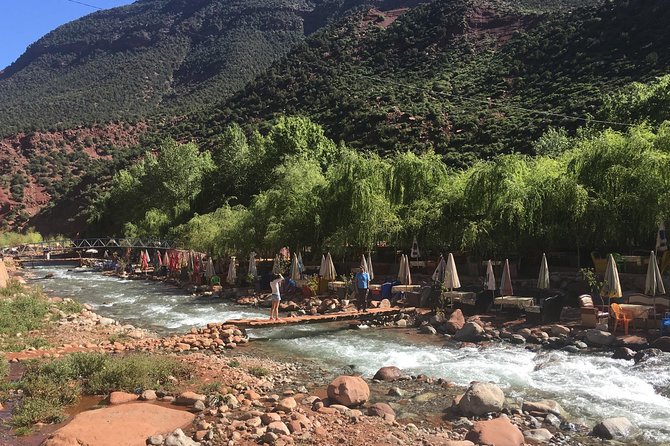 Full Day Tour Ourika Valley and Atlas Mountains - Reviews and Ratings