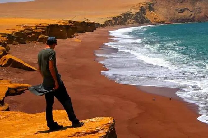 Full Day Tour Paracas and Ica - Highlights of the Tour