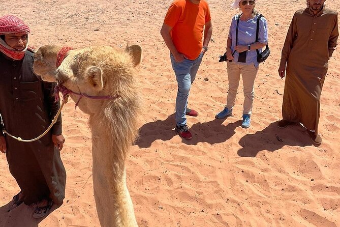 Full Day Tour Petra and Wadi Rum From Amman - Additional Information