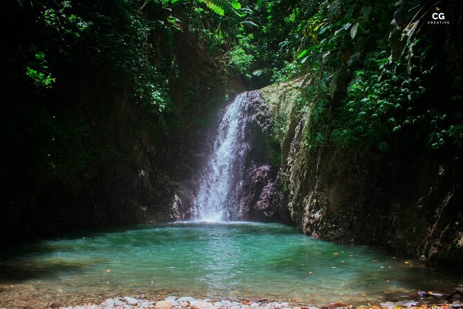 Full Day Tour - Popular Sites Grenada, Belmont Estate, Rain Forest and More - Exploring the Rain Forest