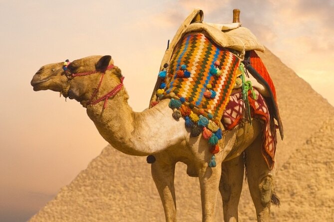 Full Day Tour Pyramids Sphinx Memphis Saqqara and Dahshor - Booking Options and Reservations